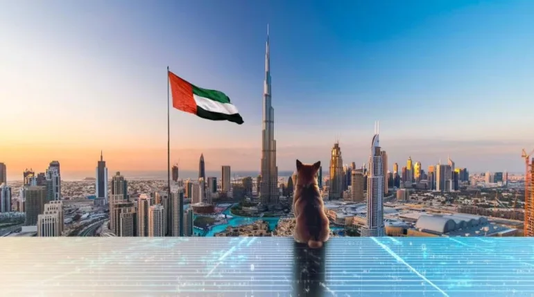 Shiba Inu and the UAE Ministry of Energy and Infrastructure Collaborate to Promote Digital Transformation