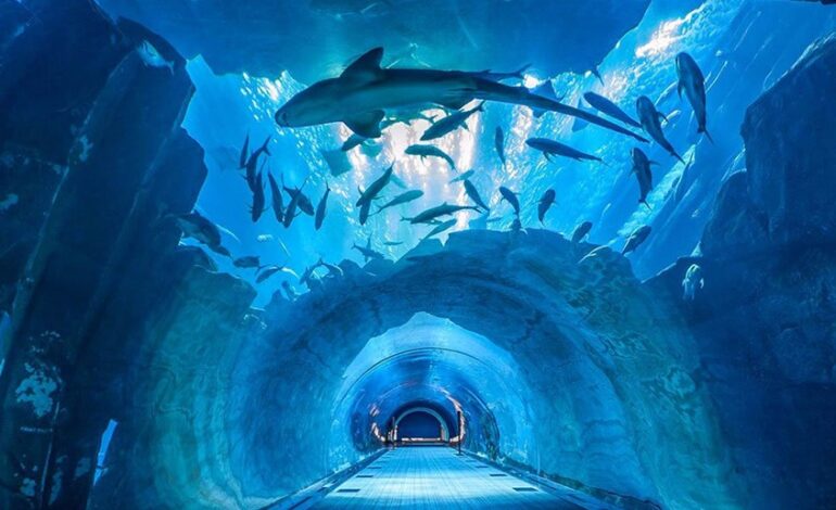 The Tourism Industry in the UAE Follows the Rules set by the Government