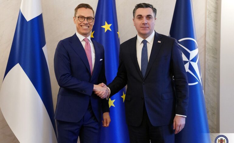 The Presidents of Finland And the UAE Talk over the Phone About Regional Developments