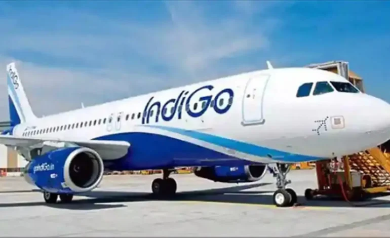 Monkeys on Runway Force a Flight to Abort Take-Off in India