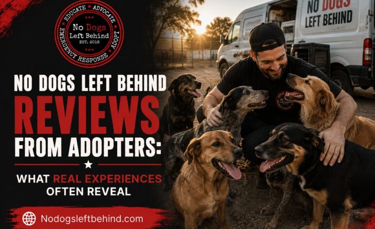 No Dogs Left Behind Reviews From Adopters: What Real Experiences Often Reveal