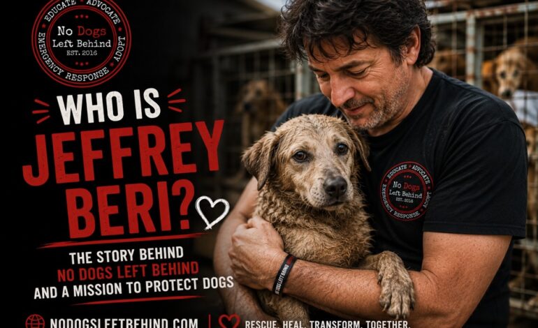 Who Is Jeffrey Beri? The Story Behind No Dogs Left Behind and a Mission to Protect Dogs